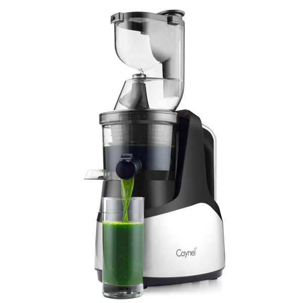 Caynel Slow Masticating and Cold Press Juicer & Reviews Wayfair
